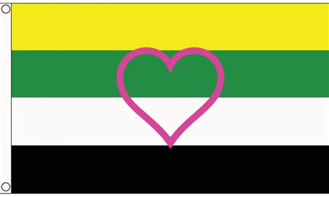 skoliosexual flag meaning|skoliosexual Meaning .